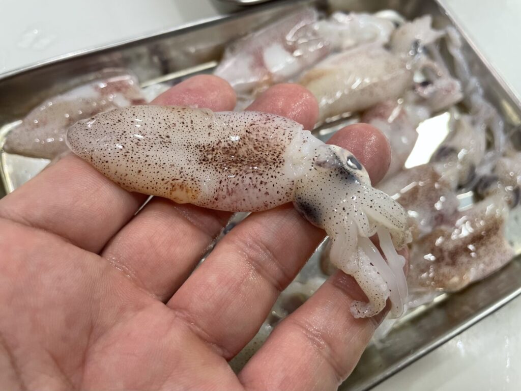 ヒイカ キムカズ発信